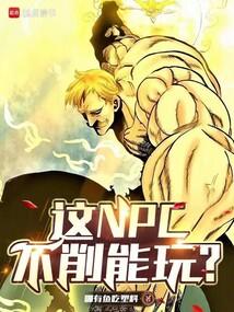 NPC棿ȫĶ