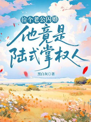 捡个老公闪婚,他竟是陆式掌权人全文免费阅读